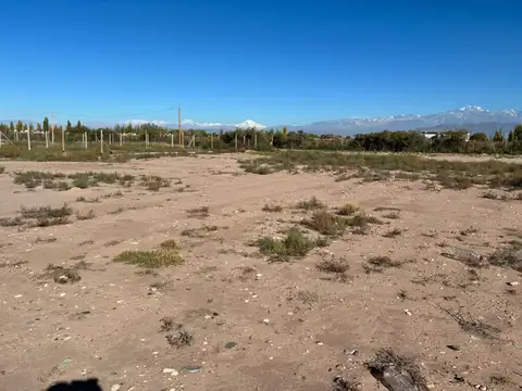 Cobos 400