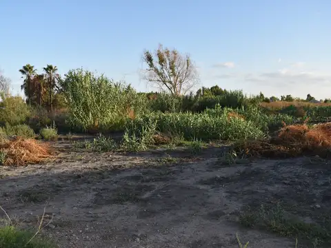Silvano Rodriguez 100