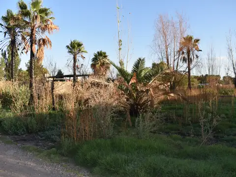 Silvano Rodriguez 100
