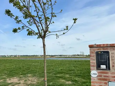 Avenida de los lagos 100