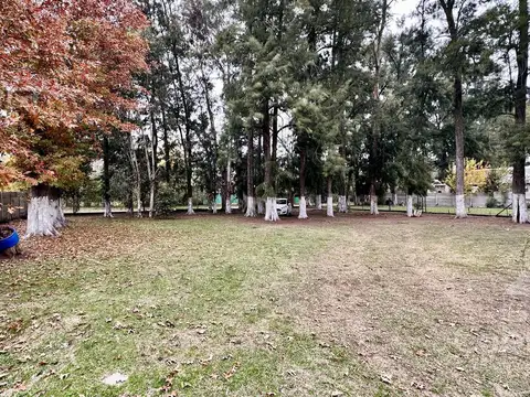 494 e/ 233 y 235 e/ 233 y 235