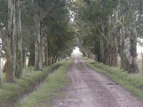 Ruta 3 Km 75