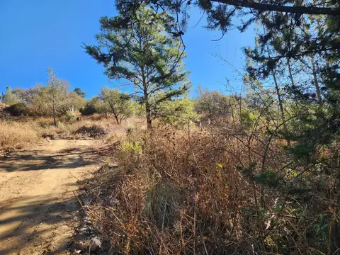 Terreno en Venta de 5539,0 m2