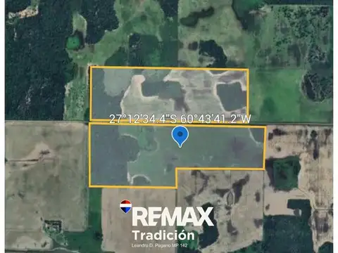 Campo 55 Has en venta – O’Higgins – Mixto