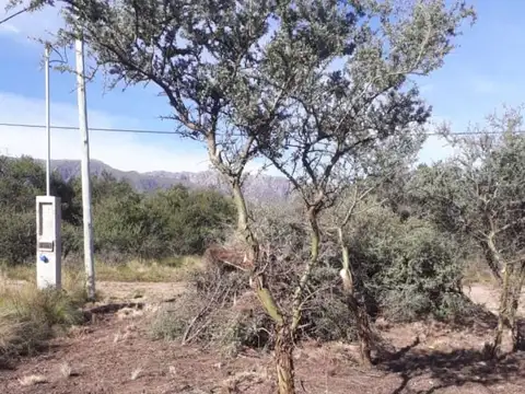 Urbanización  "La Dorotea", Mza 52, Lote 2