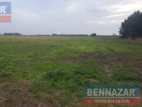 12 Hectareas rio tala, san pedro, provincia de buenos aires