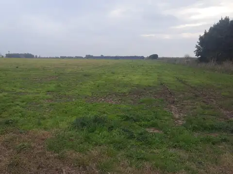 12 Hectareas rio tala, san pedro, provincia de buenos aires