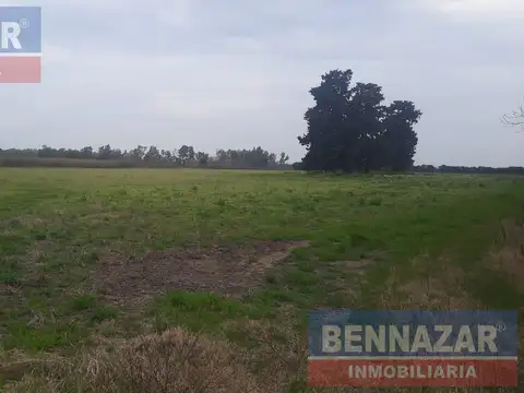 12 Hectareas rio tala, san pedro, provincia de buenos aires