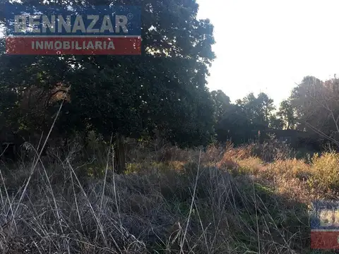 Venta Campo 12 Hectáreas en Río Tala