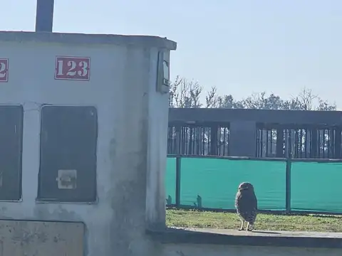 Av. Beschtedt al 2500