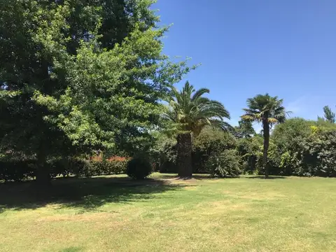 CASA 3 DORM. 2 BAÑOS - LOTE 3900 M2. - PILETA - HOGAR A LEÑA - B. VINELLI - LOBOS-