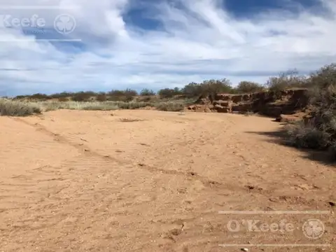 Campo en venta de 2785 has en Neuquen, Arena apta Fraking