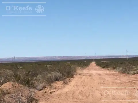 Campo en venta de 2785 has en Neuquen