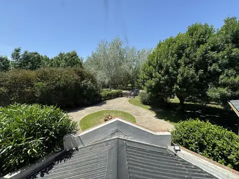 Los Raigales  al 100