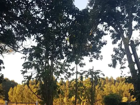 Casa en Venta 1 año