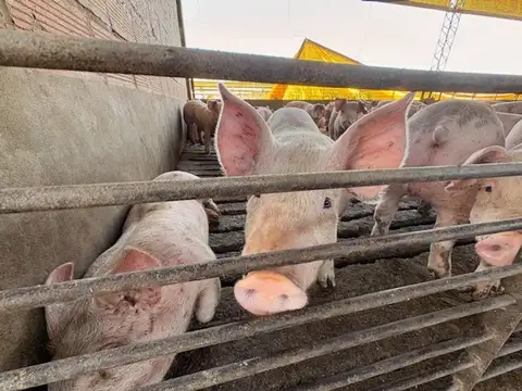 Campo en Venta Chacra