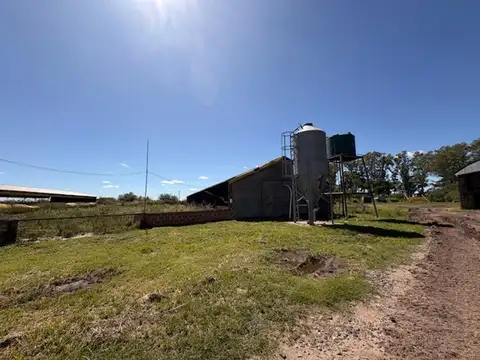 Campo en Venta Chacra