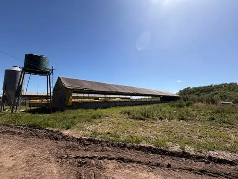 Ruta 51 Zona Rural