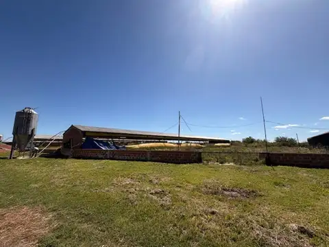 Campo en Venta de 25  ha