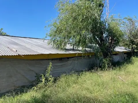Rural 1000