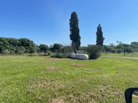 Rural 1000