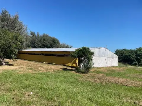 Granja avícola completa habilitada.