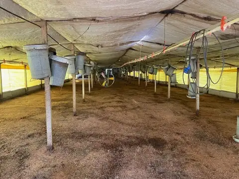 Rural 1000