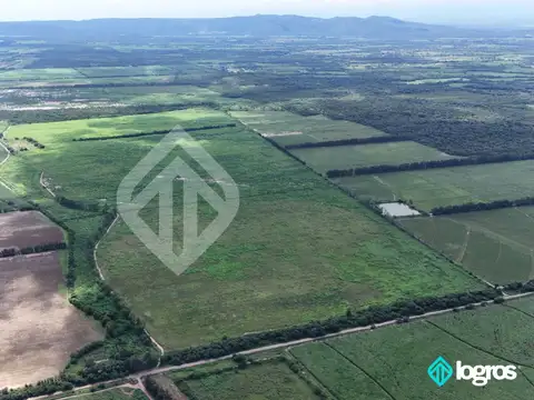 Campo Agricola en Venta de 196 has ubicado en Pampa Blanca - Provincia de Jujuy