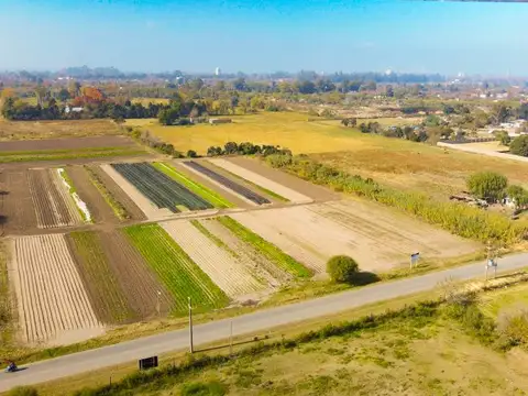Lotes 2.500 m² - Loteo Industrial Gro. Baigorria