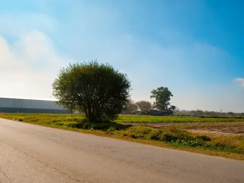 Lotes 2.500 m2 - Granadero Baigorria