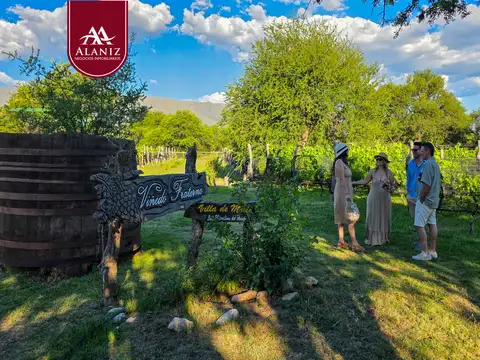 Viñedo de 2 Hectáreas en Funcionamiento + Bodega + 2 Casas en Venta, Merlo, San Luis.