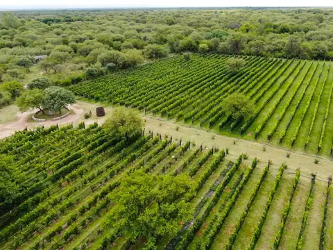 Fondo Comercio en Venta 14 años