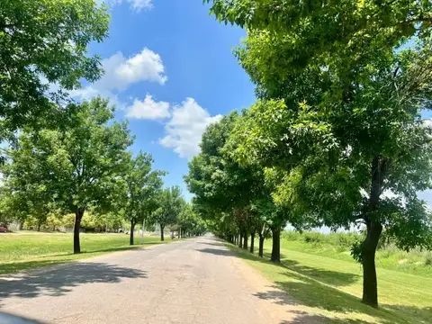 Terreno en Venta 32,69  mts Fondo