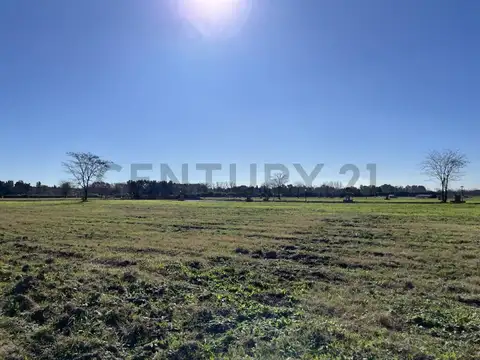 Terreno en Venta de 812,65 m2