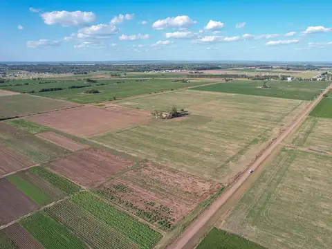 Campo Agrícola en Venta de 21 ha General Lagos