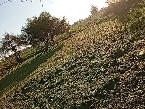 Terreno en Venta 26  mts Fondo