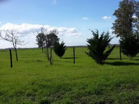 Ruta 31 - San Antonio de Areco