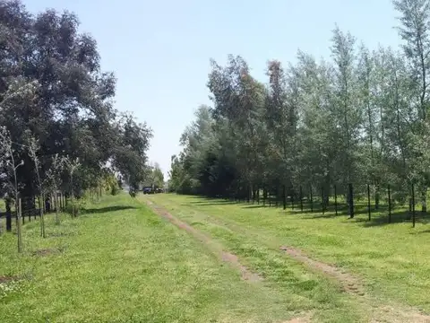 Fraccion de campo San Antonio de Areco