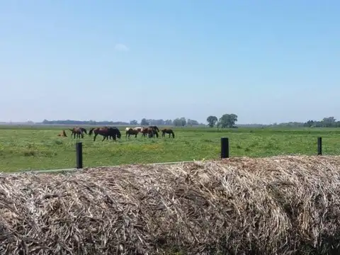 Fraccion de campo San Antonio de Areco