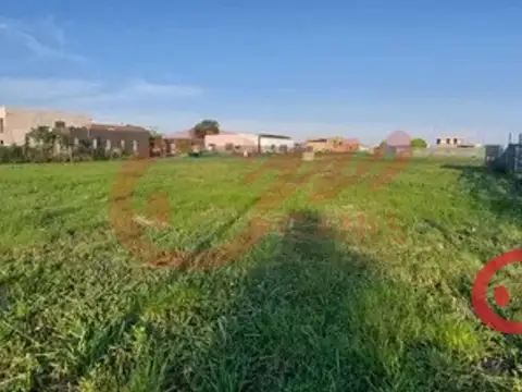 Lote San Sebastián,Area 13