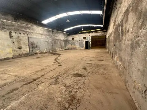 Doctor Mario Bravo 100