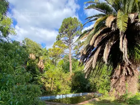 Terreno en Venta 49  mts Fondo