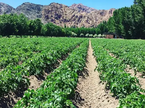 Terreno en Venta de 2000,0 m2