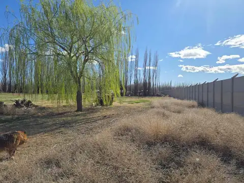 CHACRA DE 5 Has CON FRENTE DE RUTA DEL PETROLEO