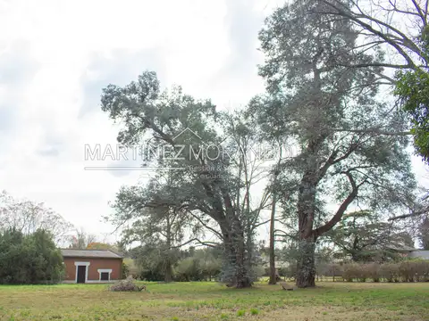 Terreno Lote  en Venta en La Otilia, Pilar, G.B.A. Zona Norte - MMO0190_LP541265_1