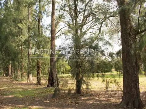 Terreno en Venta de 1163,0 m2
