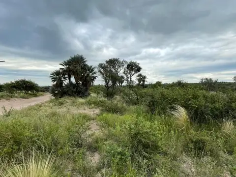 Altos del palmar