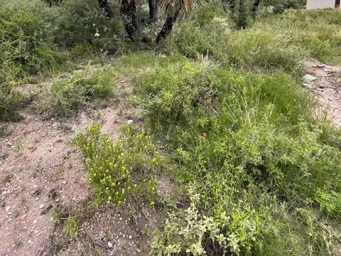 Terreno en Venta en Papagayos, USD 20.000