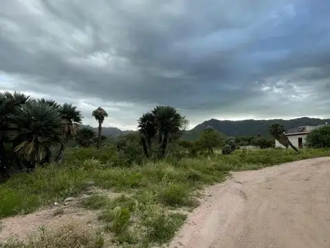 VENDE LOTE EN PAPAGAYOS, SAN LUIS