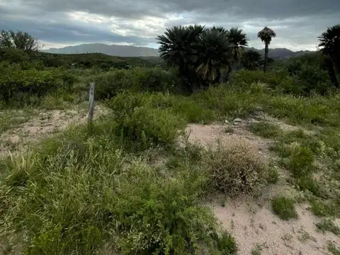 Terreno en Venta de 1500,0 m2